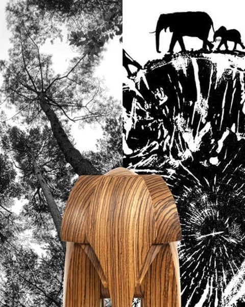 Kairos, des arbres et des éléphants