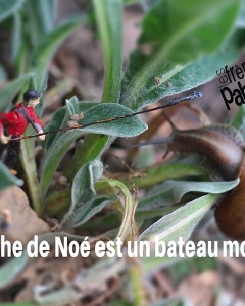 L'Arche de Noé