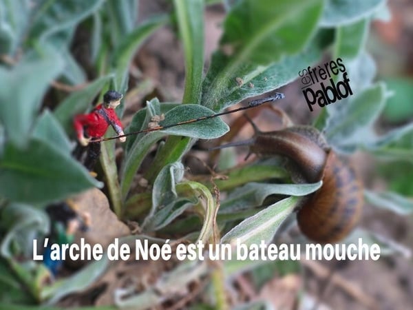 L'Arche de Noé
