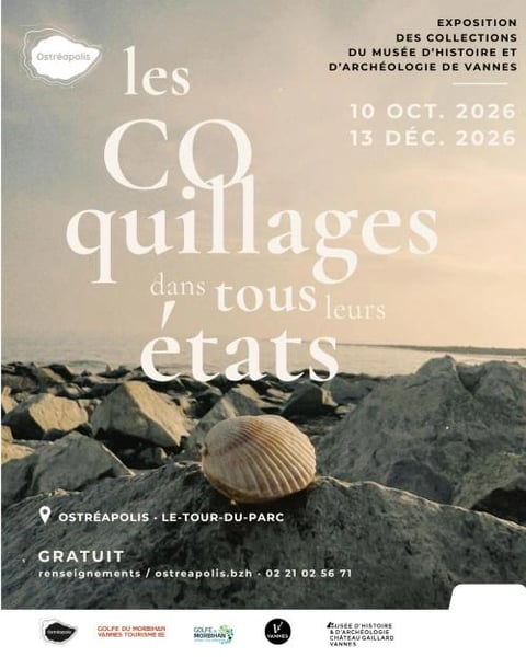 Les coquillages dans tous leurs états