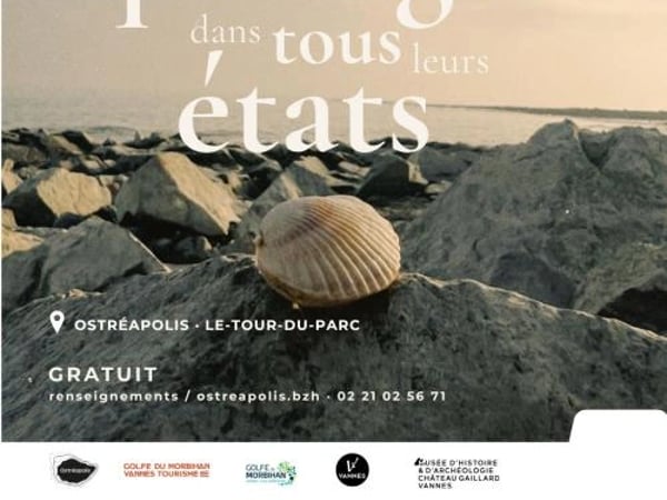 Les coquillages dans tous leurs états