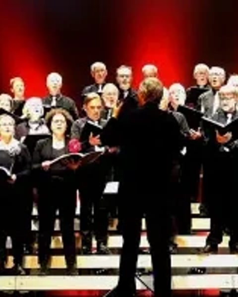 Chorale Mosaïque et Mickaël Gaborieau, chœur et orgue
