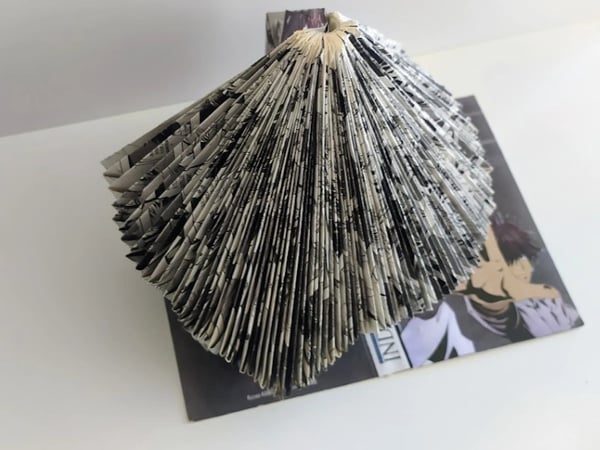 Des plis et des livres de Marie Reneaud