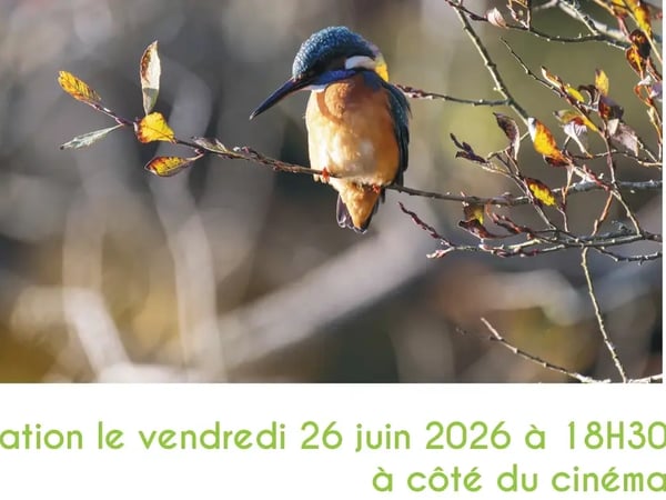 Exposition photo "À vol d'oiseaux dans le Morbihan"