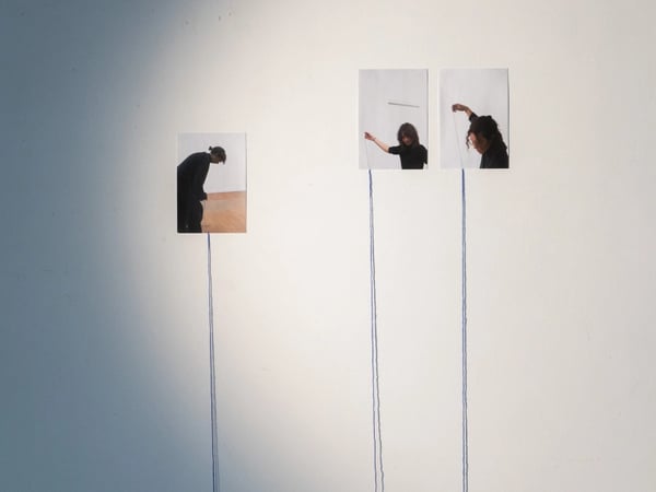 Quelques racines affleurent